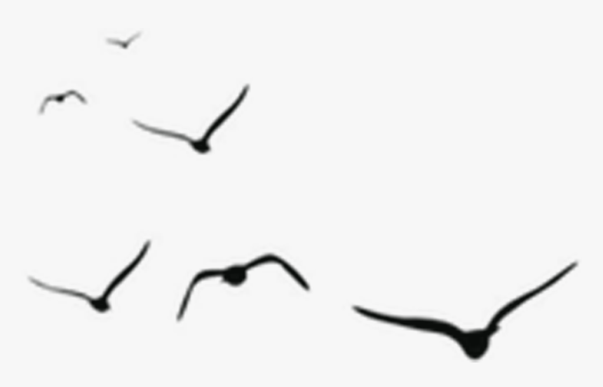 Free Online Crane Bird Animals Birds Vector For Design - Black Shadow Birds Png, Transparent Png, Free Download
