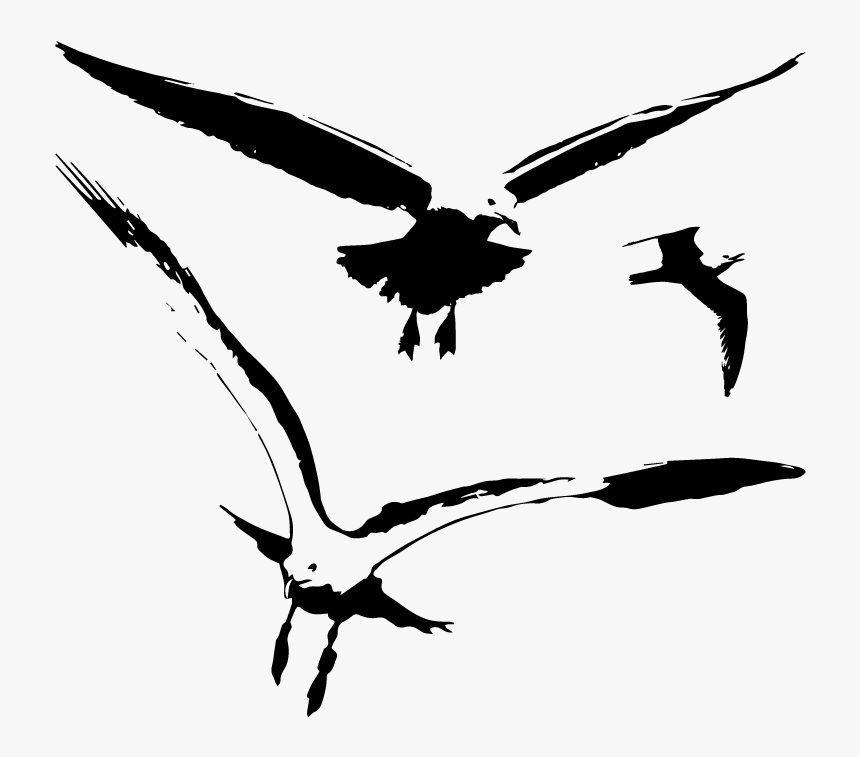 Seagull Birds Vector Silhouette - Seagull Png Vector, Transparent Png, Free Download