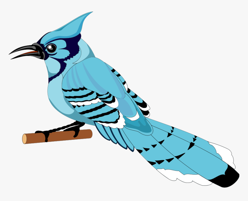 Bird 21 Free Vector - Bluejay Clipart Png, Transparent Png, Free Download