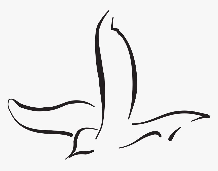 Bird Flying Curves Free Picture - Bird Flying Sketch Png, Transparent Png, Free Download