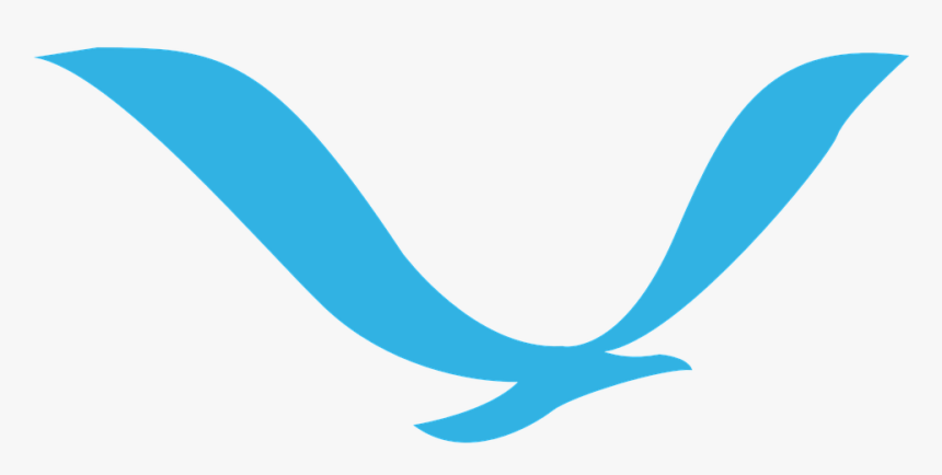 Download Gull Bird Png Transparent Images Transparent - Flying Bird Logo Png, Png Download, Free Download