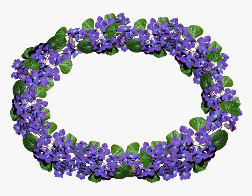 Flowers, Violets, Arrangement, Frame, Border, Perfume - Delphinium, HD Png Download, Free Download