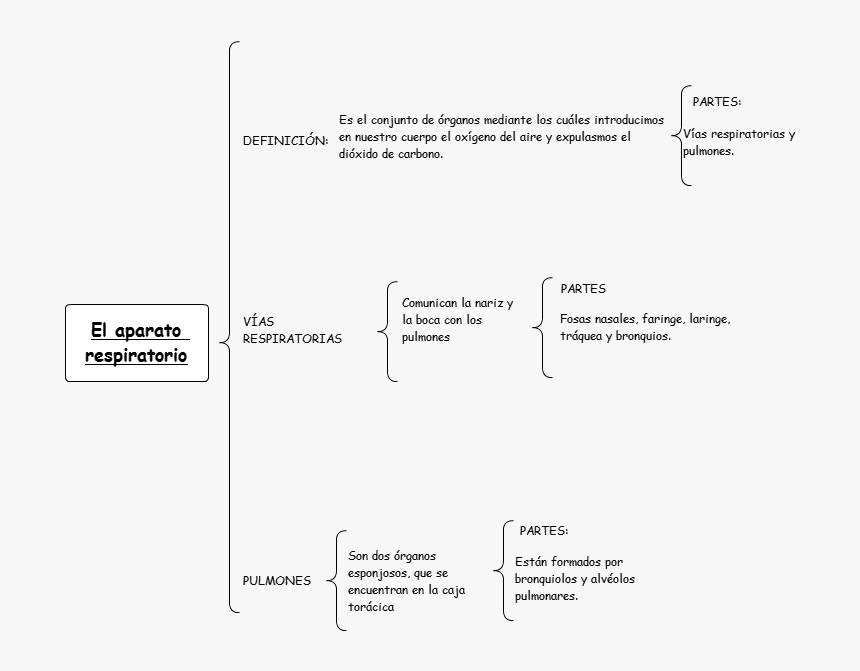 Document, HD Png Download, Free Download