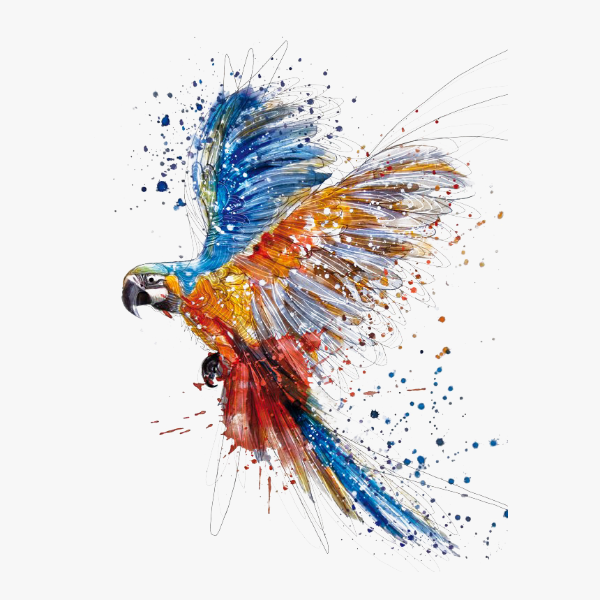 Tattoo Arara Aquarela , Png Download - Watercolor Parrot, Transparent Png, Free Download