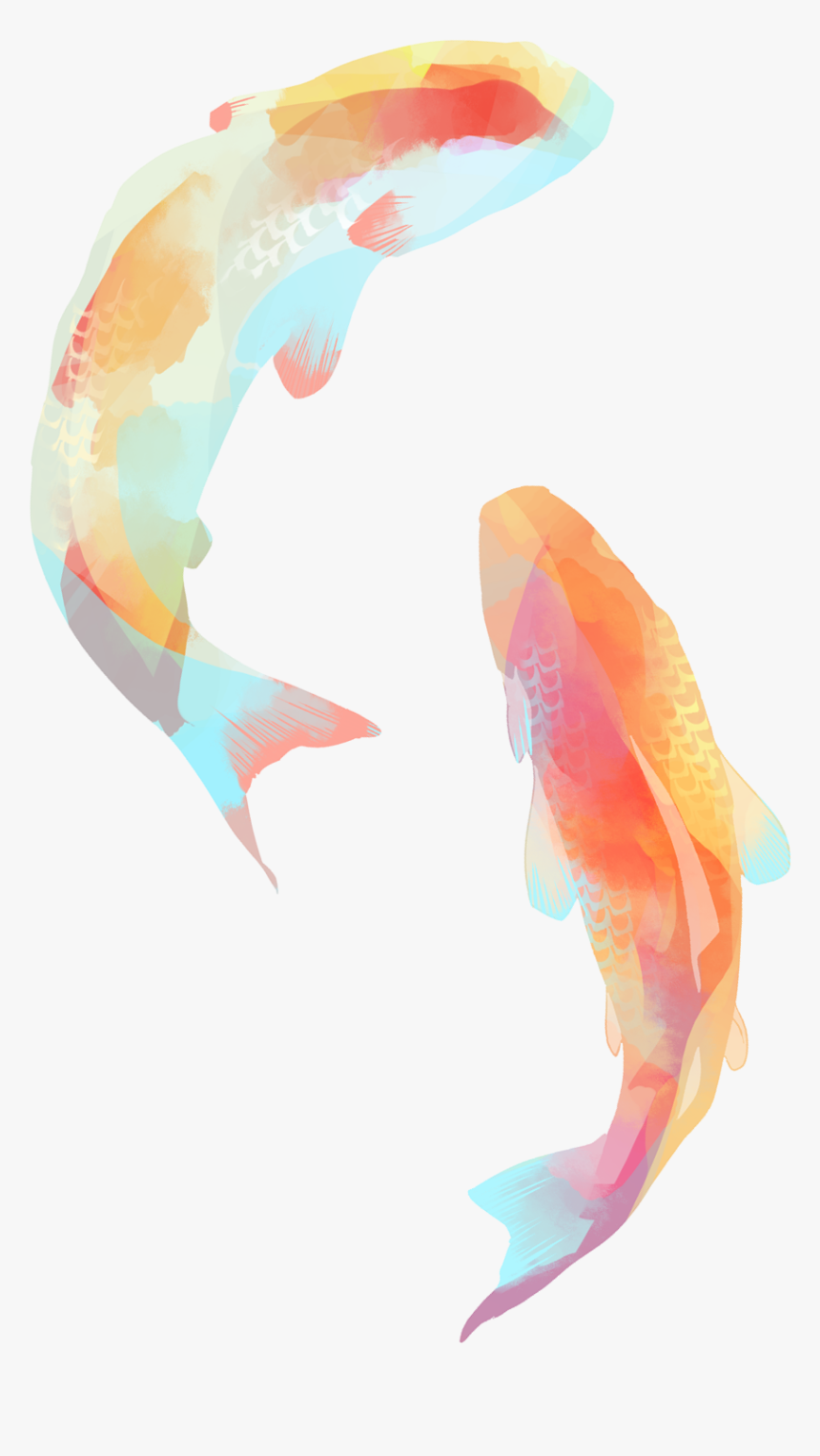 Koi Fish Png, Transparent Png, Free Download