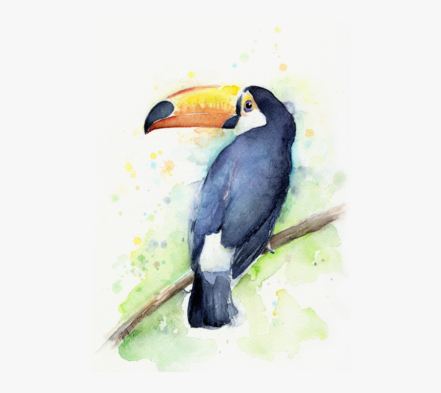 Watercolor Toucan, HD Png Download, Free Download