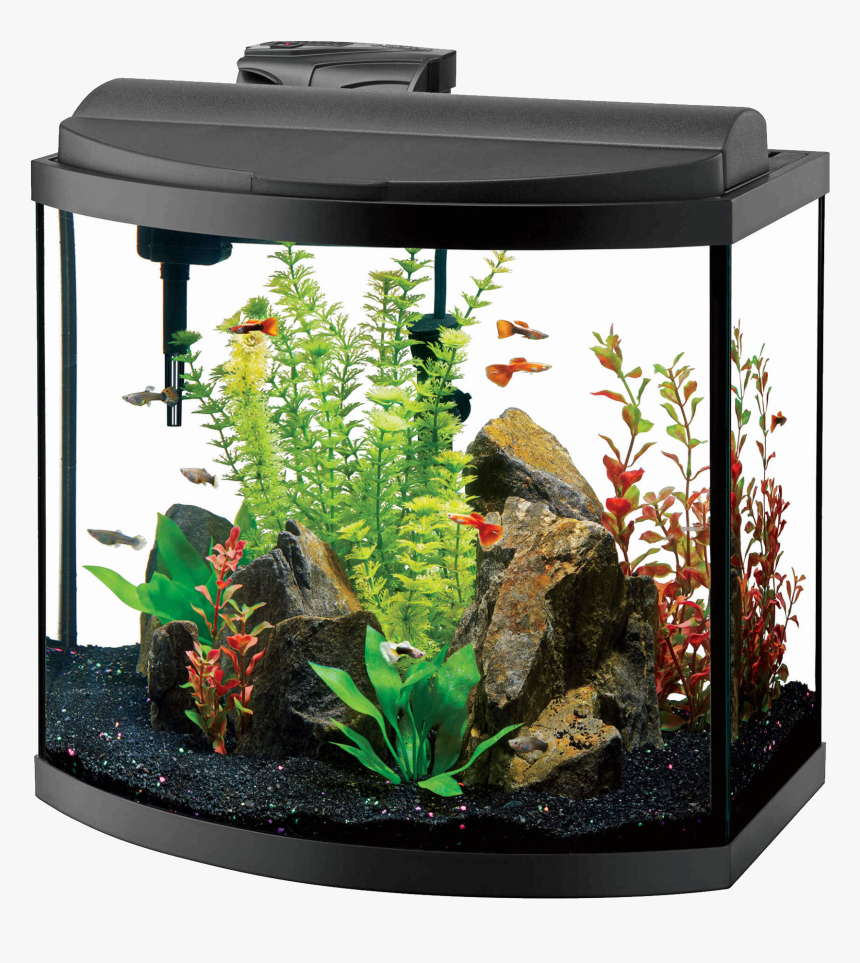 Aquarium Png - Aqueon Aquarium, Transparent Png, Free Download