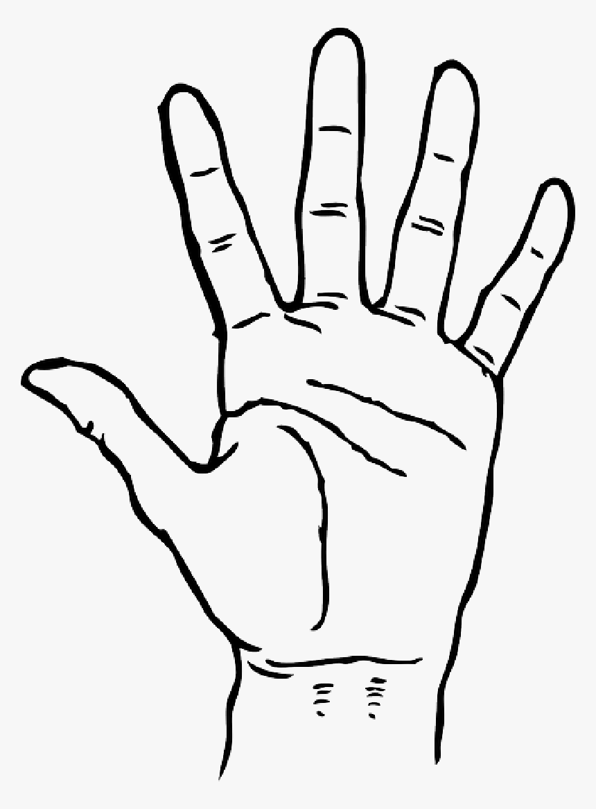 Black, Icon, Left, Right, Outline, Hand, Drawing, Open - Hand Clipart Black And White, HD Png Download, Free Download