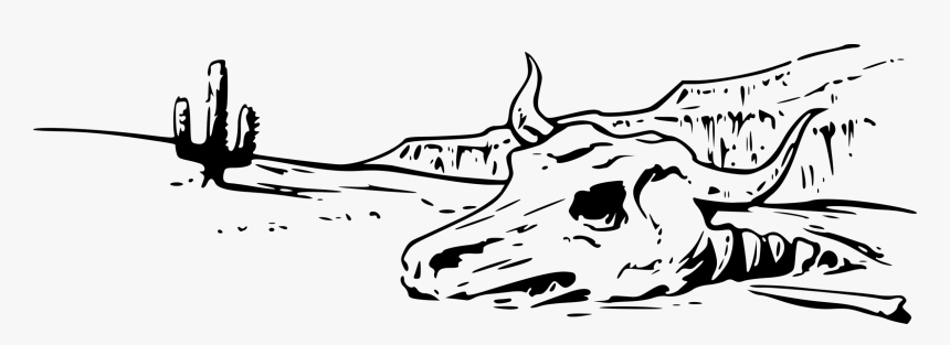 Texas Longhorn English Drawing - Cow Skull Drawing Easy, HD Png Download, Free Download