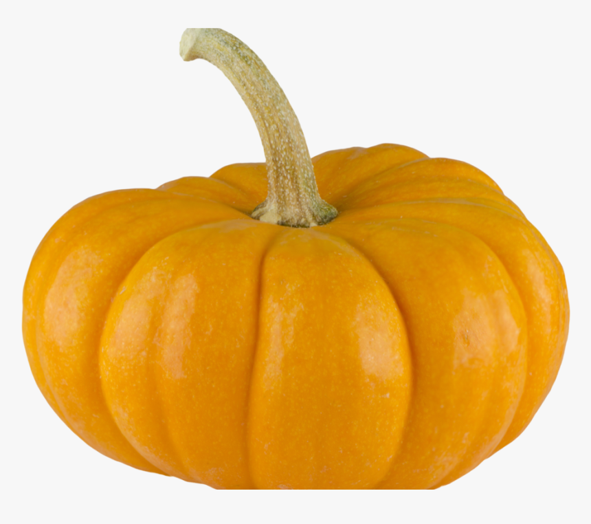 Transparent Background Pumpkin Transparent, HD Png Download, Free Download