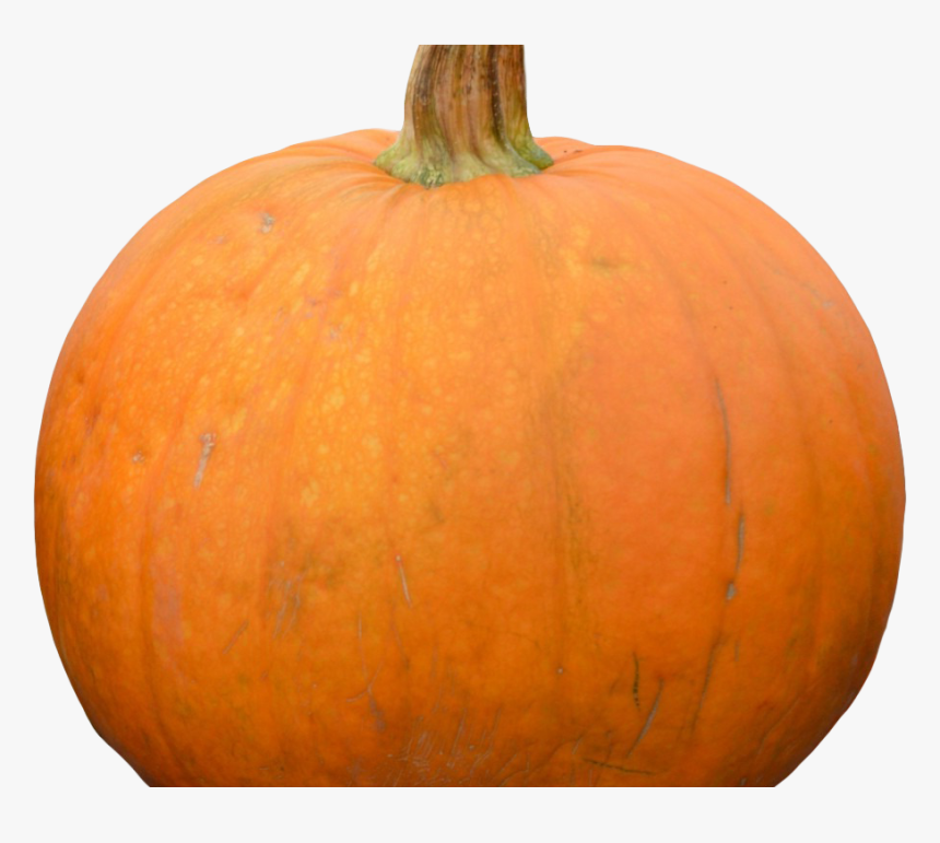 Pumpkin Png Image1 - Pumpkin, Transparent Png, Free Download