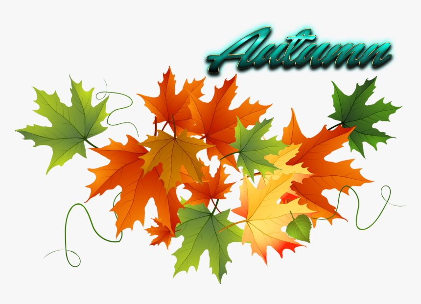 Transparent Fall Leaves Background Png - Fall Leaves Transparent Background, Png Download, Free Download
