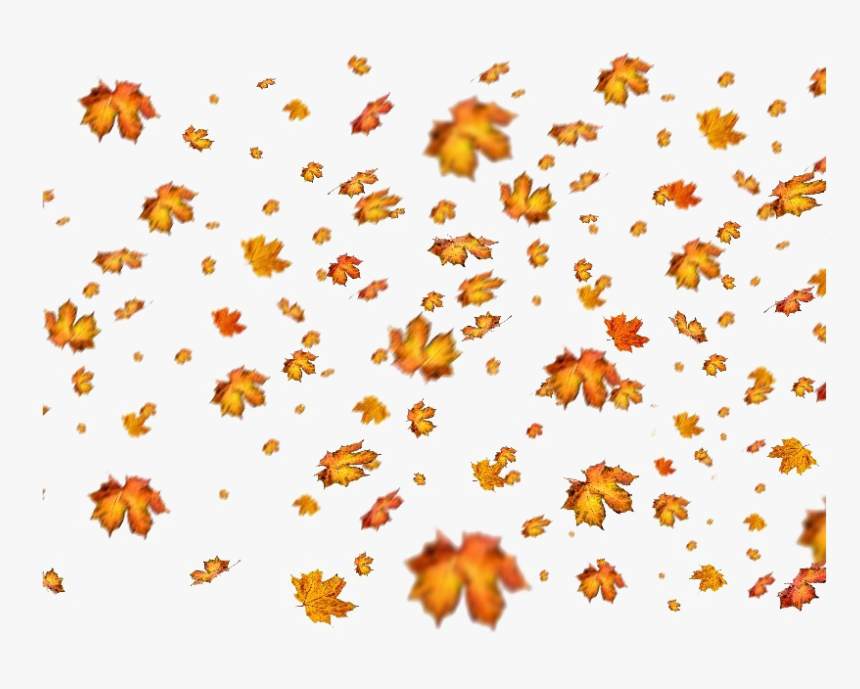 Autumn Leaves Png Photos - Autumn Leaves Falling Png, Transparent Png, Free Download