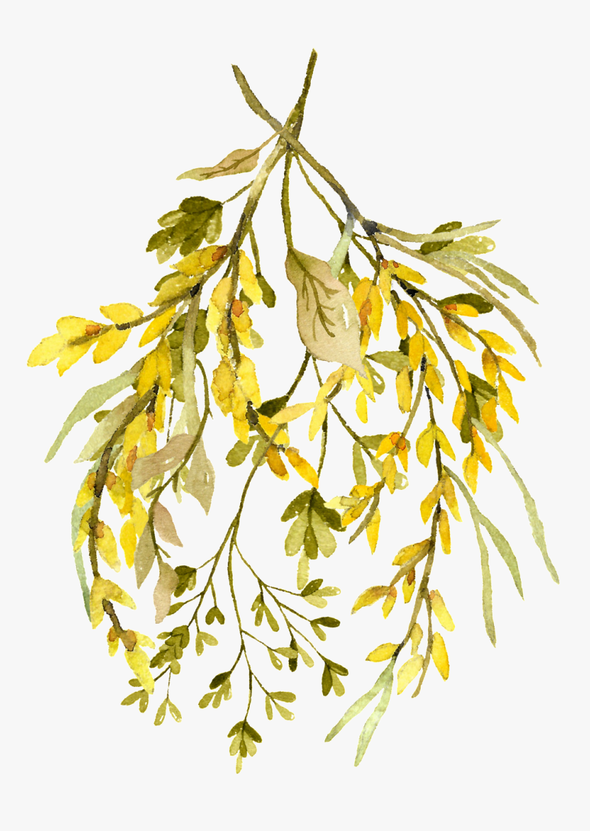 Watercolor Leaf Png - Fall Watercolor Leaves Png, Transparent Png, Free Download