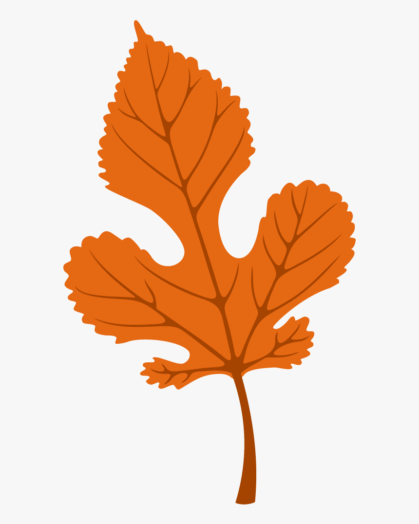 Autumn Leaves Free Use, HD Png Download, Free Download