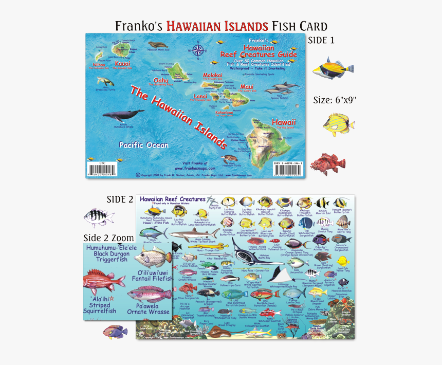 Hawaiian Reef Fish, HD Png Download, Free Download