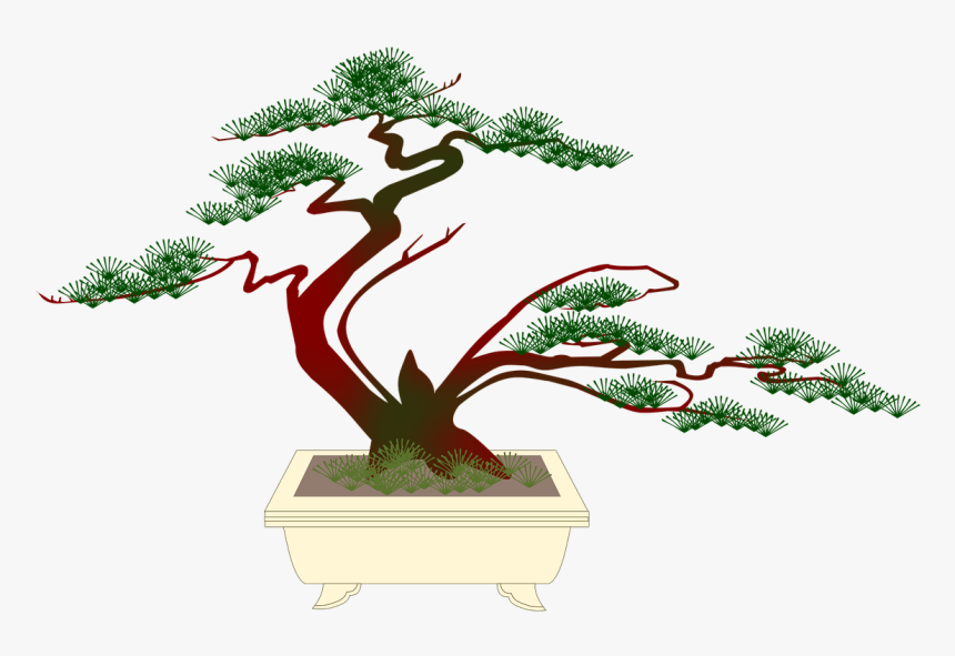 Bonsai - Bonsai Tree, HD Png Download, Free Download