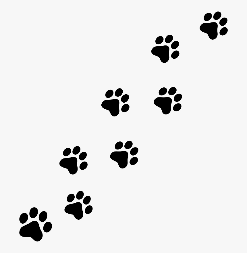 Dog Print Paw Wildcats On Paws Tattoos And Clip Art - Cat Paw Prints Clipart, HD Png Download, Free Download