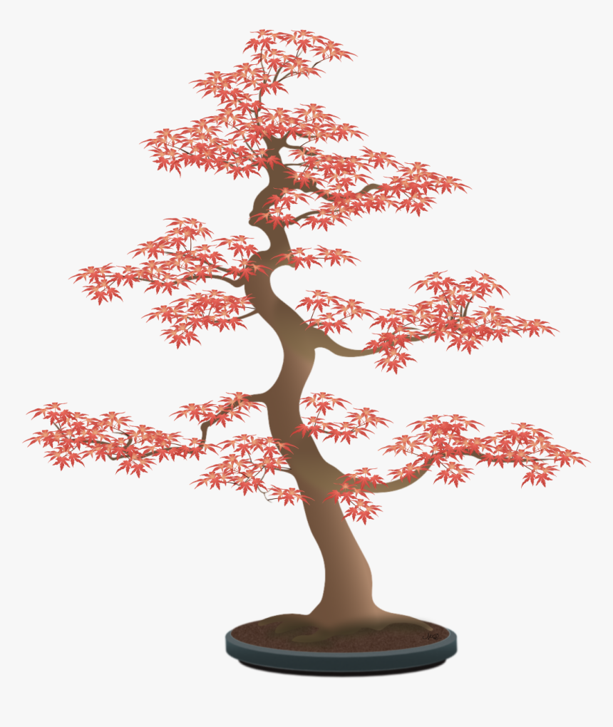 Bonsai Tree Leaves Drawing, HD Png Download, Free Download