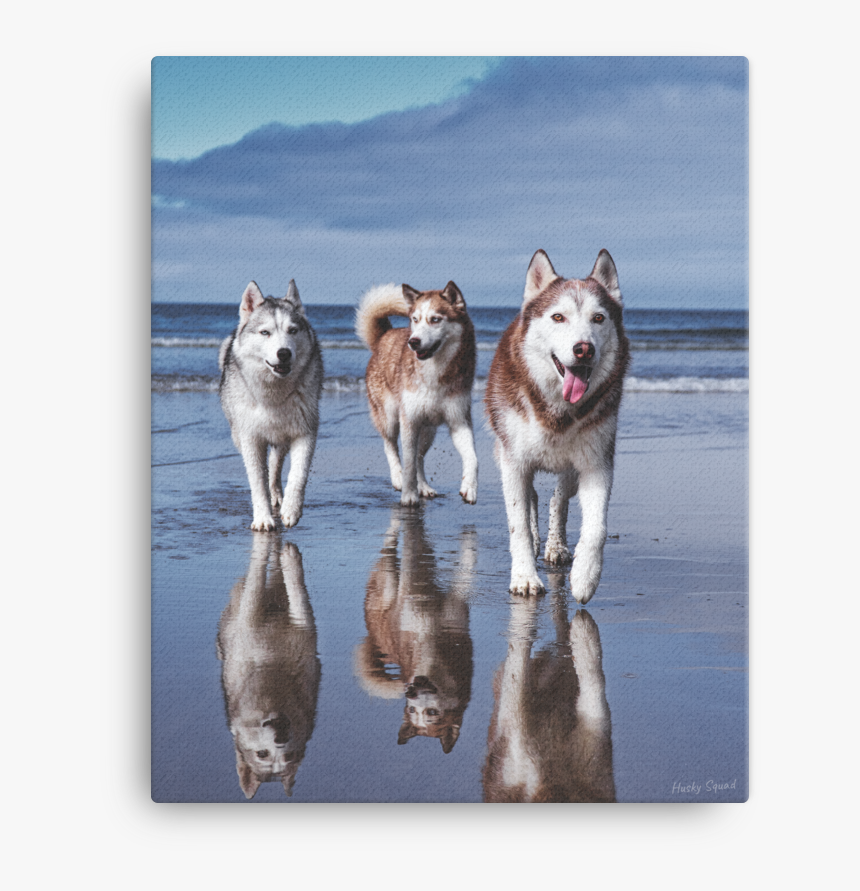 Dog Collectables Alaskan Malamute Great Sled Dog Print - Husky Squad, HD Png Download, Free Download