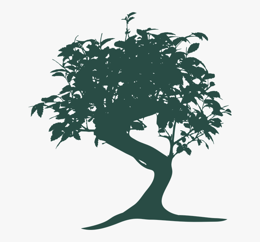 Bonsai, Tree, Nature, Oriental, Gardening, Green, Small - Bonsai Tree, HD Png Download, Free Download