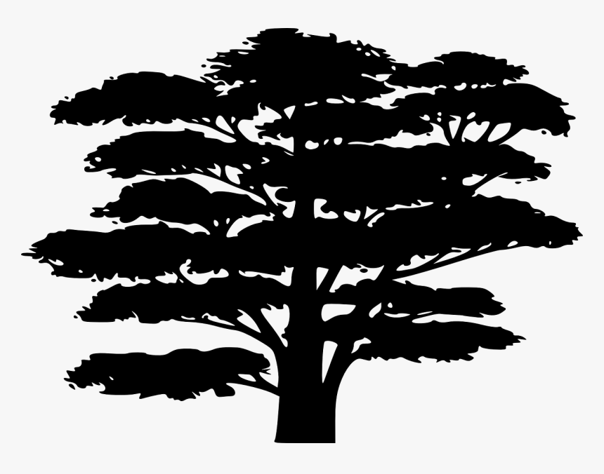 African Silhouette Images Of Trees, HD Png Download, Free Download