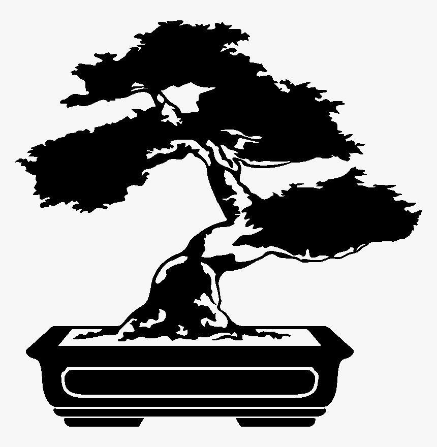 Transparent Bonsai Tree Png - Bonsai Blanco Y Negro, Png Download, Free Download