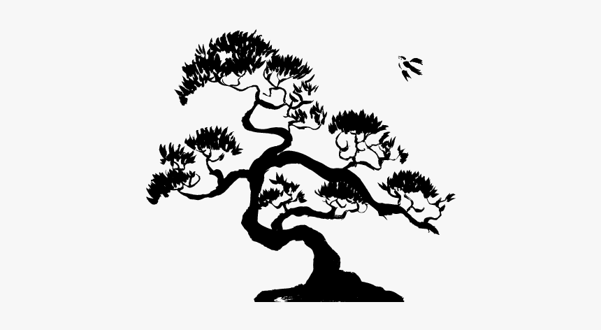 Bonsai Tree Line Drawing, HD Png Download, Free Download