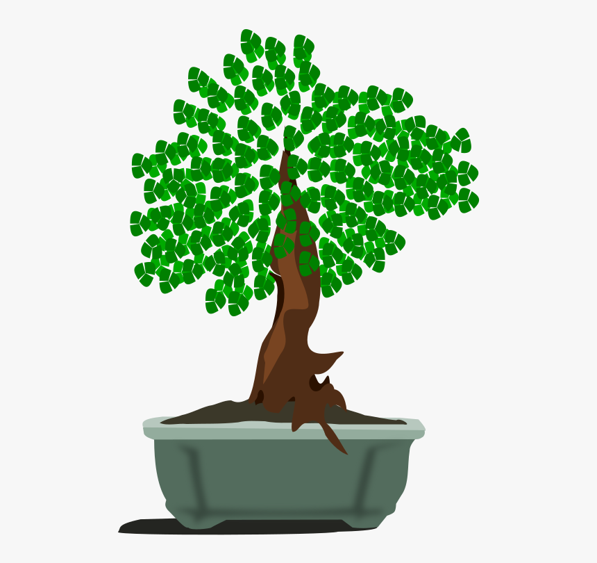 Bonsai-12 - ตัด ปะ รูป ธรรมชาติ, HD Png Download, Free Download