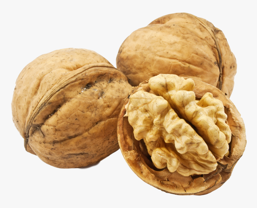 Download Walnuts Png Transparent Image For Designing - Walnuts Transparent, Png Download, Free Download