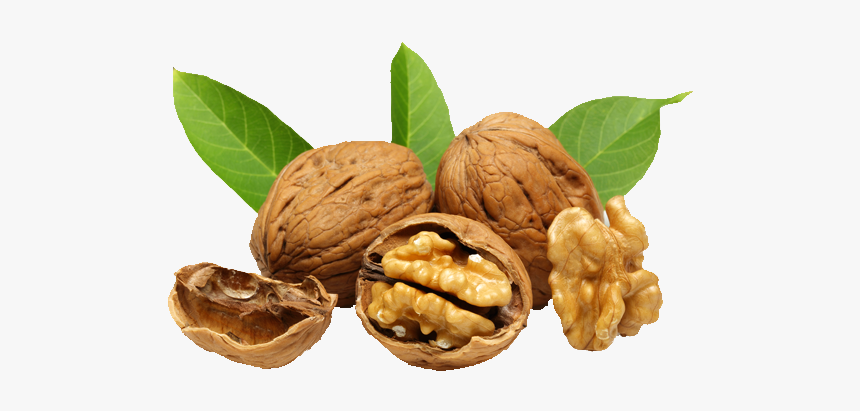 Walnut Png Image - Walnuts Png, Transparent Png, Free Download