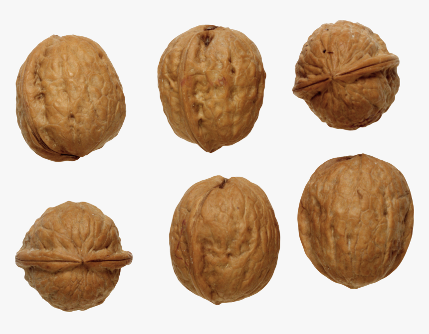 Walnut Png Image - Грецкий Орех Пнг, Transparent Png, Free Download