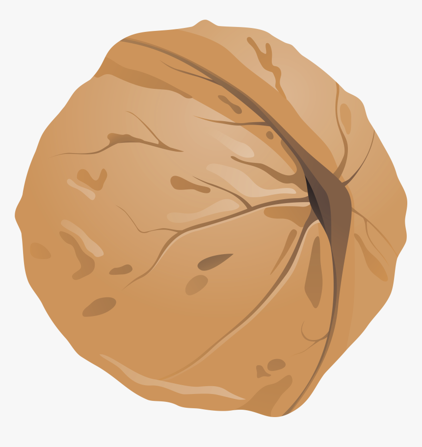 Transparent Walnuts Png - Walnut Clipart Png, Png Download, Free Download