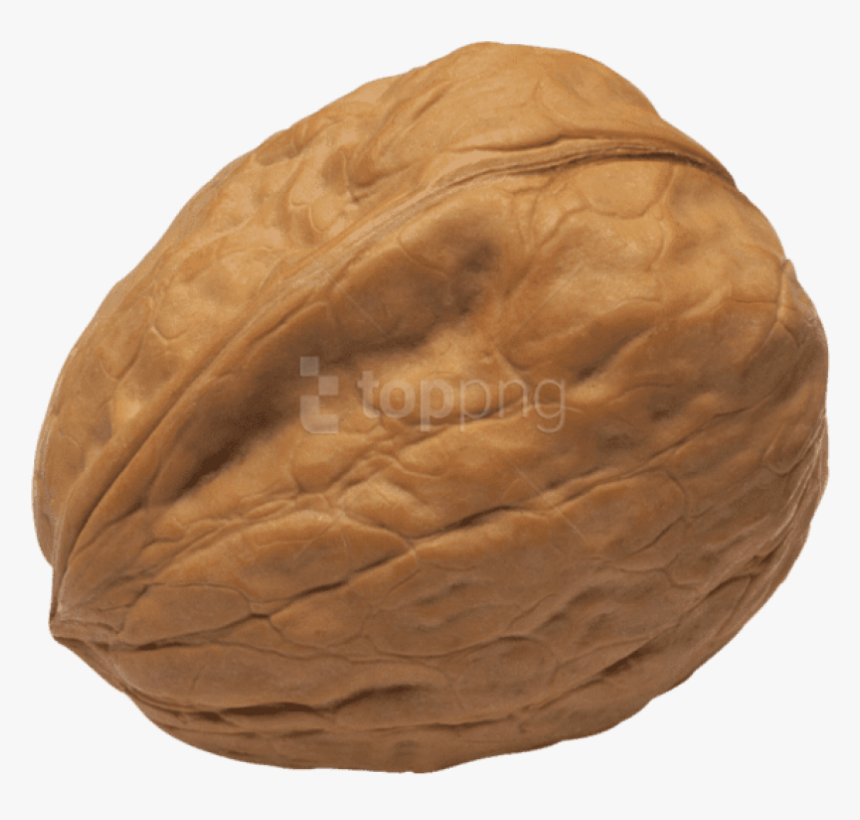 Walnut Png Image - Display Resolution, Transparent Png, Free Download