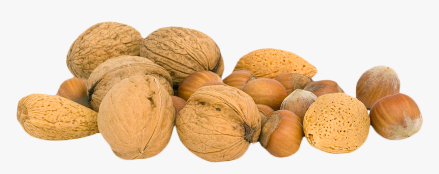 Walnut Png - Transparent Nut Png, Png Download, Free Download