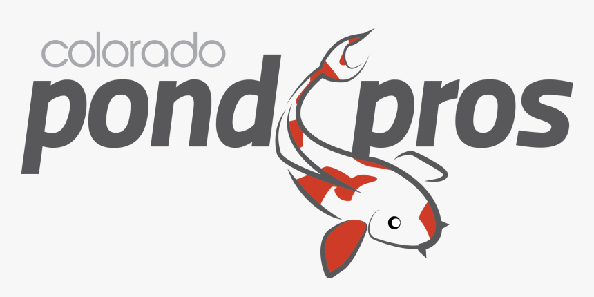 Colorado Pros Building Servicing - Coral Reef Fish, HD Png Download, Free Download