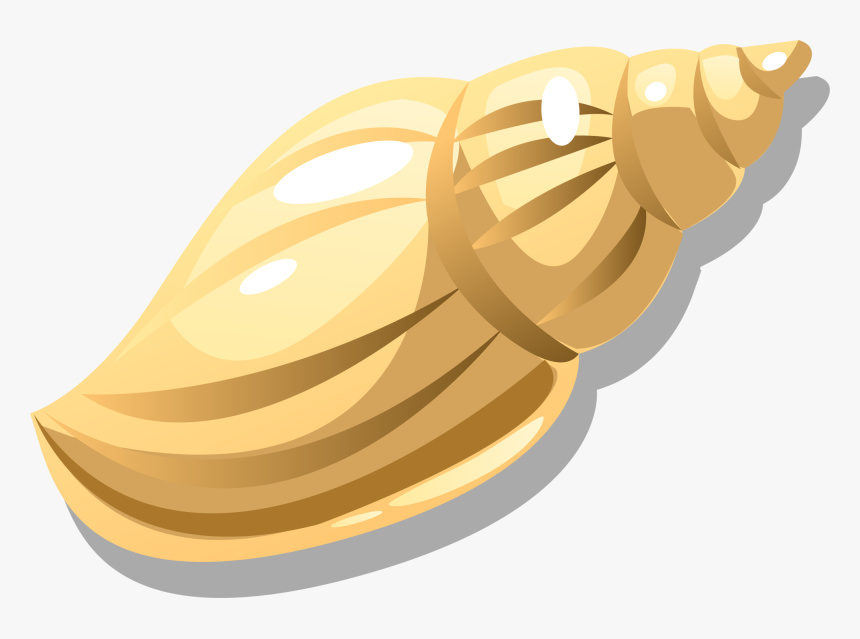 Nut Clipart Walnut Shell, HD Png Download, Free Download