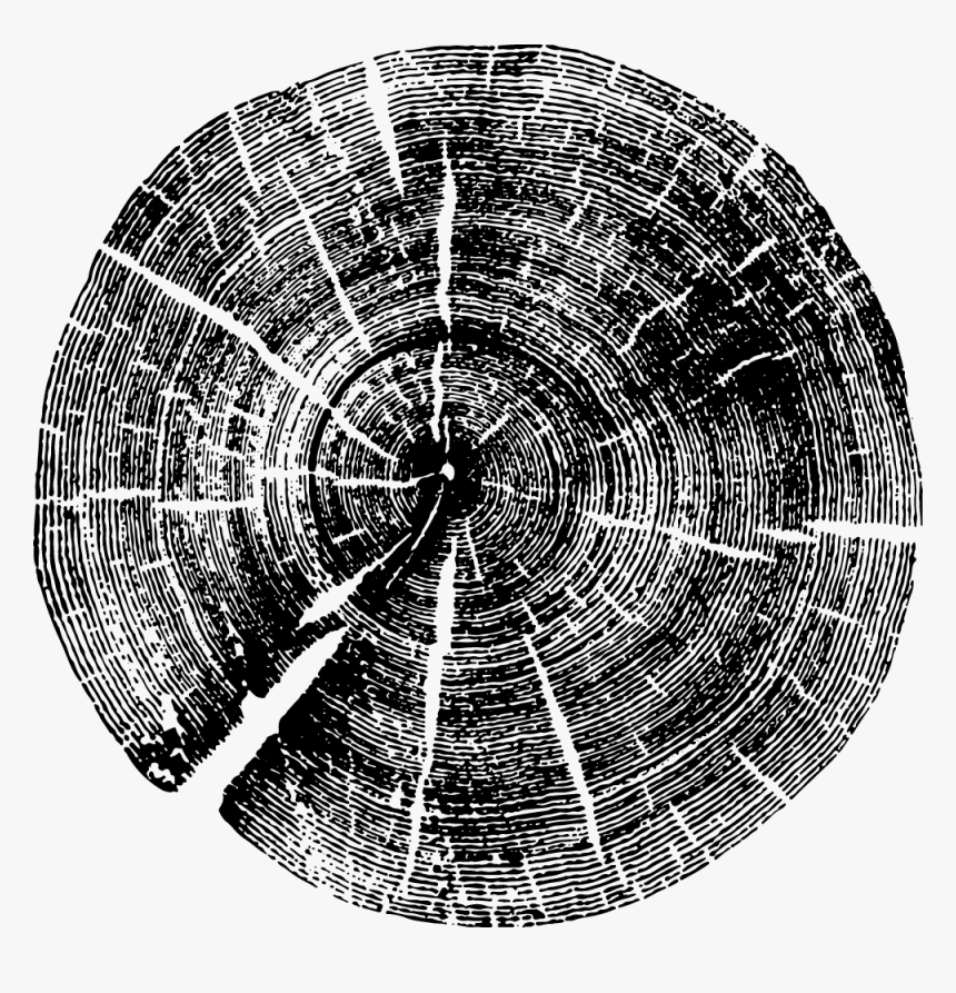 Woodgrain - Old Growth Tree Ring, HD Png Download, Free Download