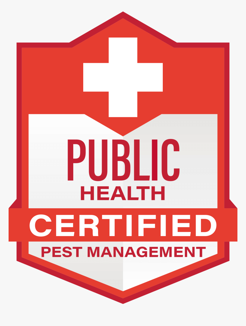 Qualitypro Public Health - Cross, HD Png Download, Free Download