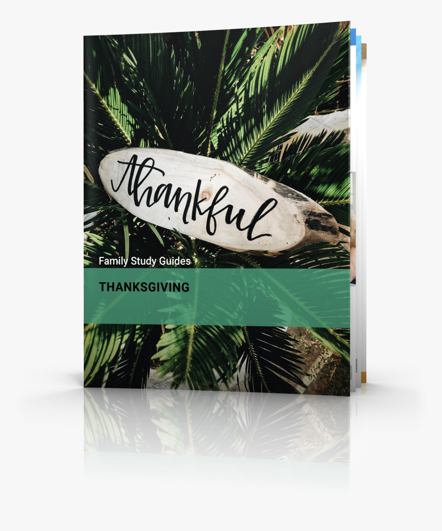 Thanksgiving - Fondo De Pantalla Originales, HD Png Download, Free Download