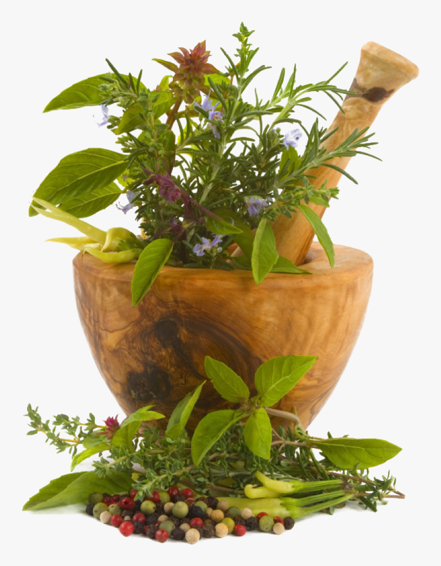Chinese Herbs Png Image - Renuka Devi Herbal Oil, Transparent Png, Free Download