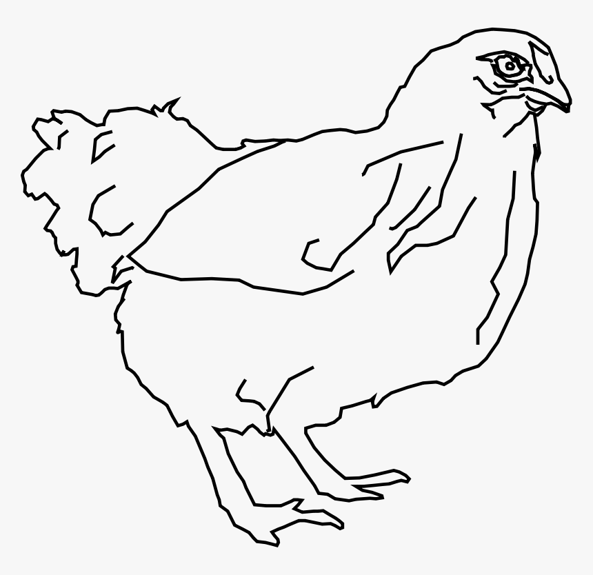 Bantam Hen Clip Art Download - Outline Chicken Clipart Png, Transparent Png, Free Download