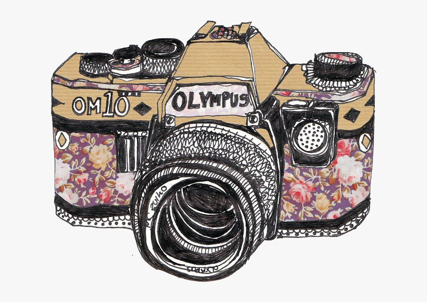 Camera, Olympus, And Drawing Image - Vintage Camera Drawing, HD Png Download, Free Download