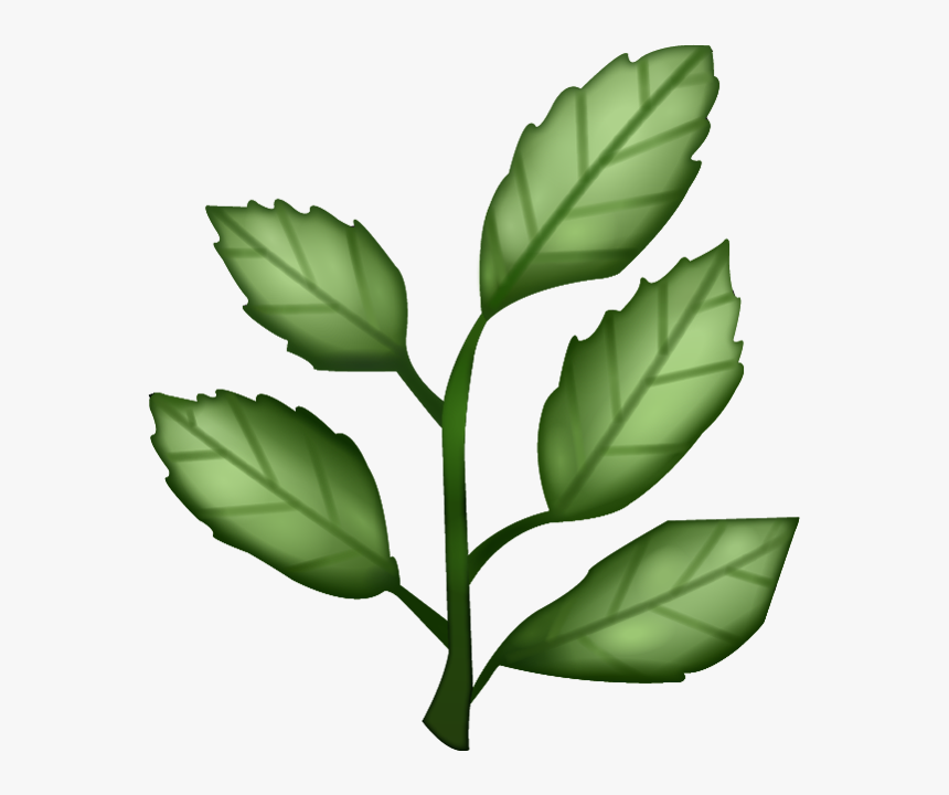 Herb Png Clipart - Herb Emoji Png, Transparent Png, Free Download