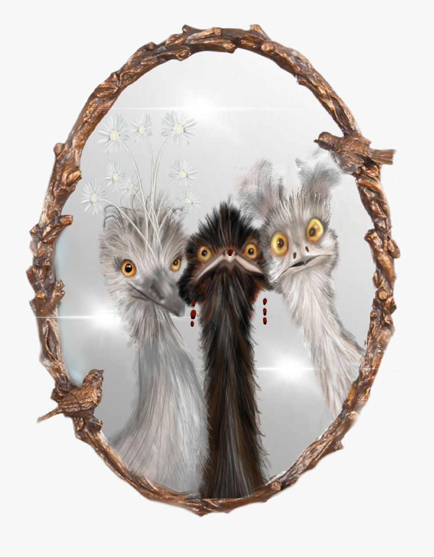 Antique Oval Mirror, HD Png Download, Free Download
