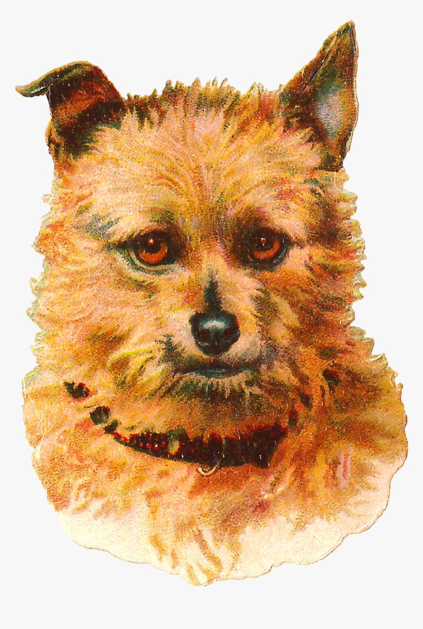 Transparent Dog Head Png - Vintage Dogs Png, Png Download, Free Download