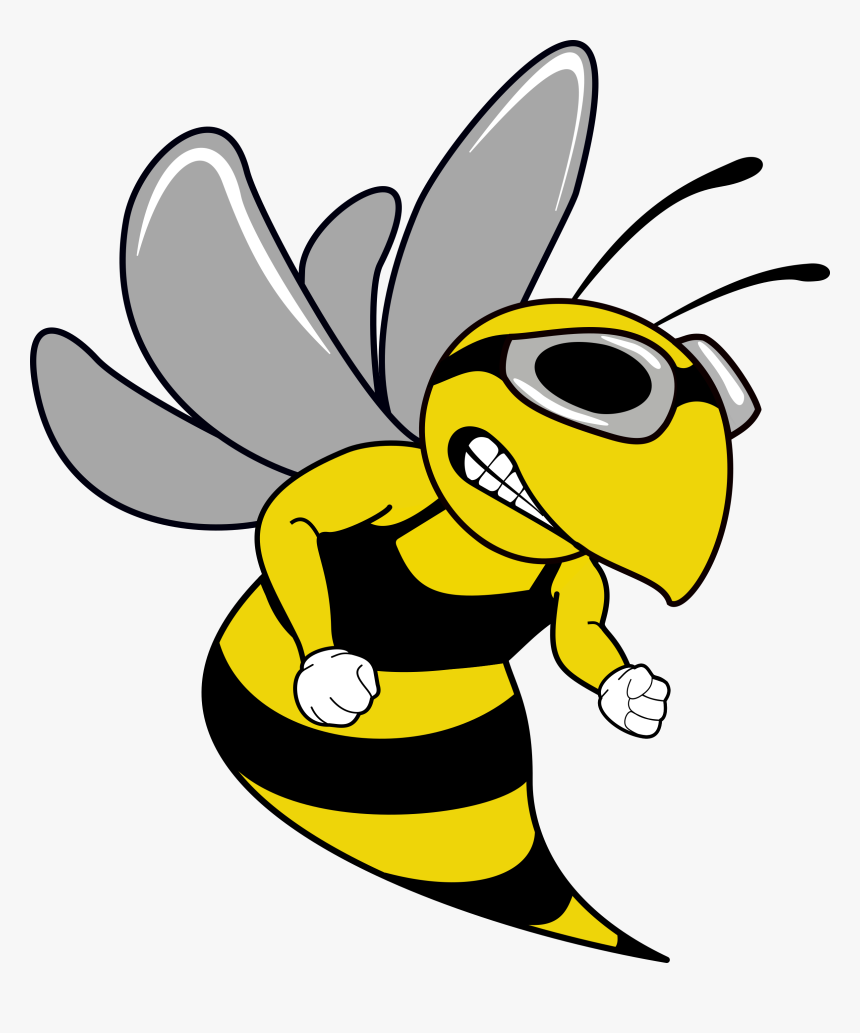 Swim Team Hornet Mascot - Hornets Swim Logos, HD Png Download, Free Download