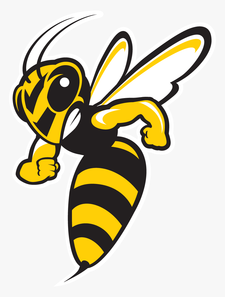 Head Vector Hornet - Baldwin Wallace Yellow Jackets, HD Png Download, Free Download