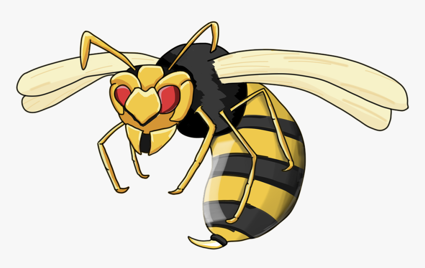 Wasp, Hornet, Insect, Cartoon, Afidius - Avispa Animado, HD Png Download, Free Download