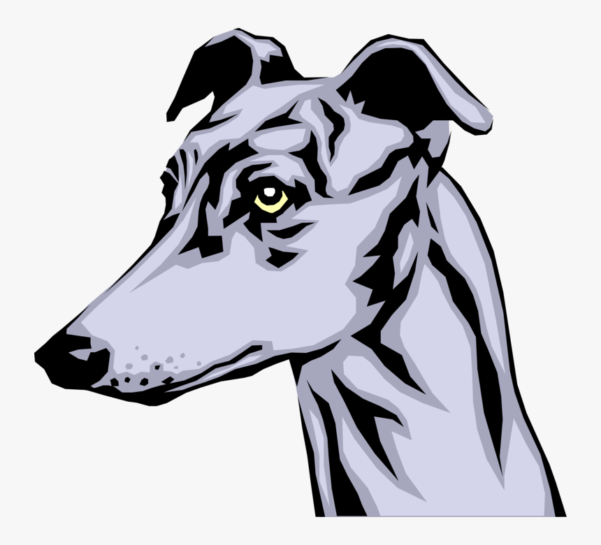 Vector Illustration Of Greyhound Race Dog Head - Clip Art Greyhound, HD Png Download, Free Download